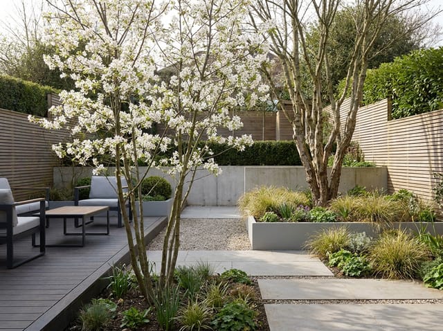 De mooiste meerstammige bomen voor in de tuin