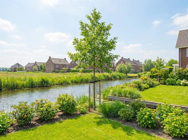 Welke boom kan tegen natte grond? De complete gids voor vochtige tuinen