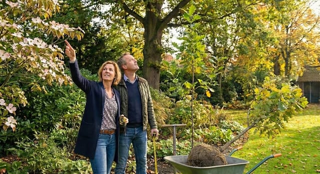 Welke boom past bij mijn tuin?